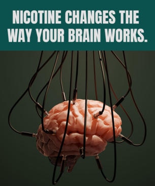 Nicotine changes the way your brain works